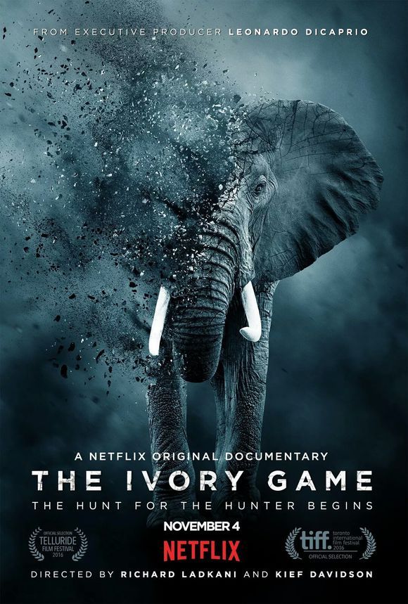 Poster of "The Ivory Game" [File Photo: tieba.baidu.com]