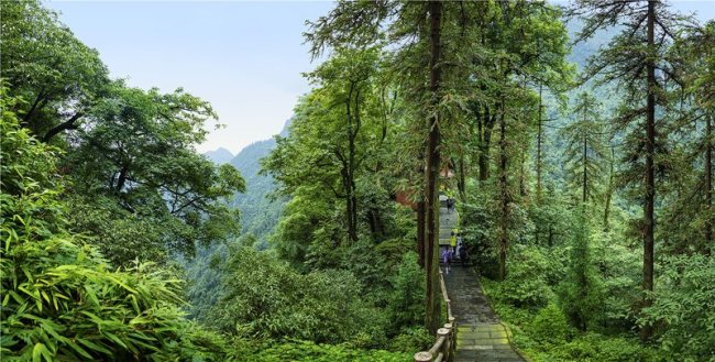 Mount Emei is a beautiful place for hikers and climbers.[Photo by Mount Emei scenic spot]