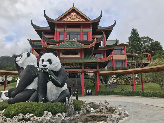 A photo shows the Chinese panda exhibit at Indonesia Panda Castle in Taman Safari Indonesia (TSI), Jakarta, on Nov 26, 2017. [Photo: China Plus/ Sun Muning]