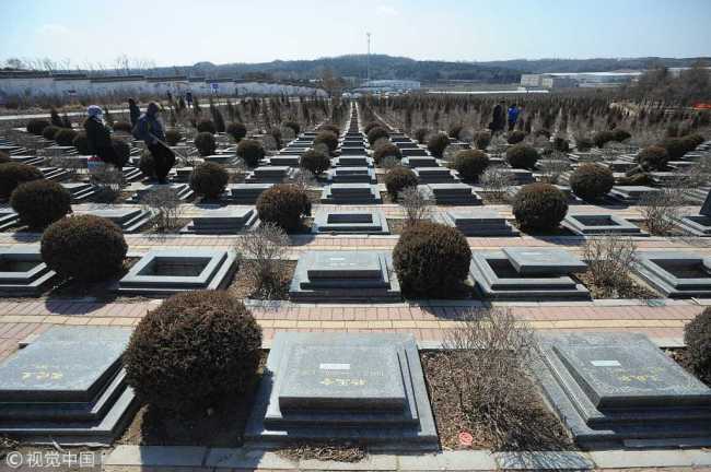 Photo shows a tree-burial cemetery in Shenyang, capital of Liaoning Province, March 25, 2010. [File Photo: VCG]