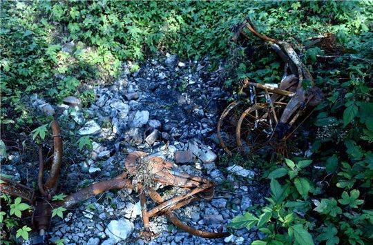 Burnt ofo shared bikes are seen in woods in Chengdu, Sichuan Province on December 1, 2017. [Photo: Thepaper.cn]