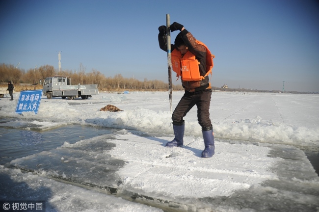 冰雪大世界开始采冰了 Ice harvest for Harbin Ice Festival