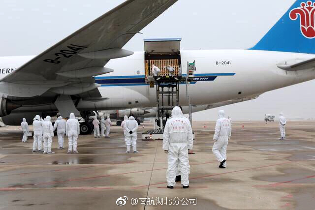 Airport staff unloading 658 French breeding pigs on December 6, 2017. [Photo: Weibo.com]