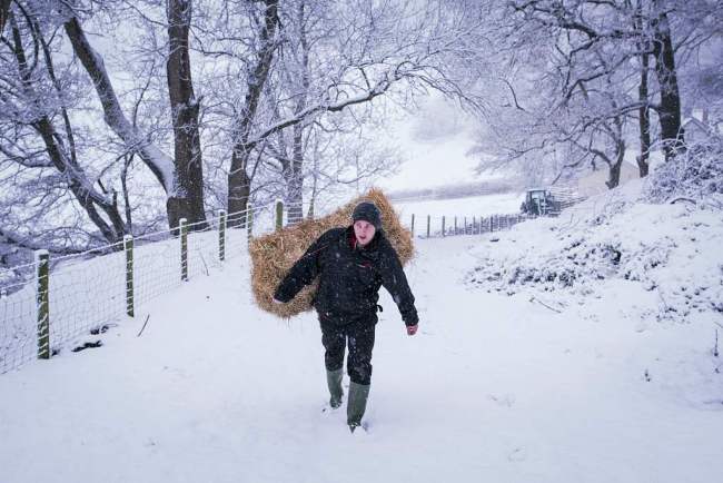 Farmer Stephen Johnson carries a hay bale to feed his ponies in the snow at a farm in Llangollen, north Wales, on December 8, 2017, as Storm Caroline plunges temperatures across the UK. [Photo: VCG]