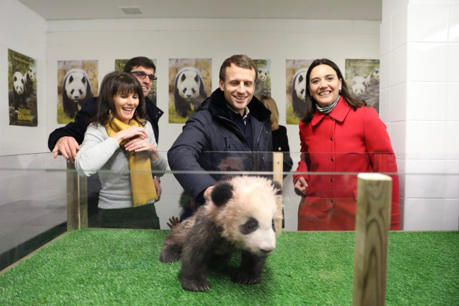 French President Emmanuel Macron (center), flanked by zoo managers, Delphine Delord (right), Sophie Delord (left), and Rodolphe Delord, pets 4-month-old panda cub called Yuan Meng, which means "the realization of a wish" or "accomplishment of a dream", during a private visit at the Beauval Zoo, in Saint-Aignan-sur-Cher, France. [Photo：AP]