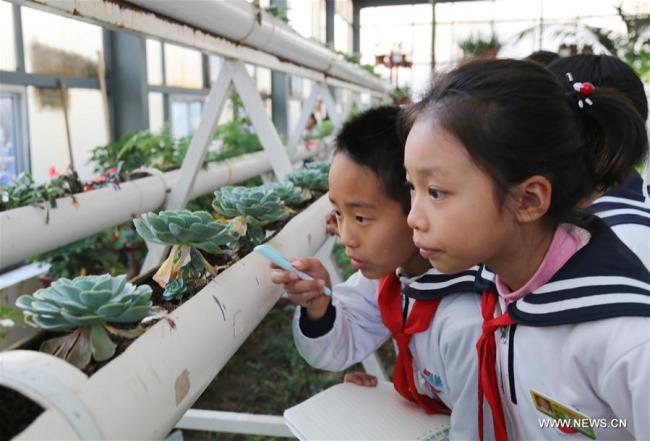 山东一学校建植物生态馆 Botanic pavilion built at school in China's Shandong