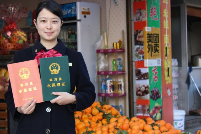 In order to expand farming operations, farmers are able to use Certificate of Orchard Operation issued by the Binchuan’s government to apply for a large sums from Fudian Bank. [Photo: From China Plus]