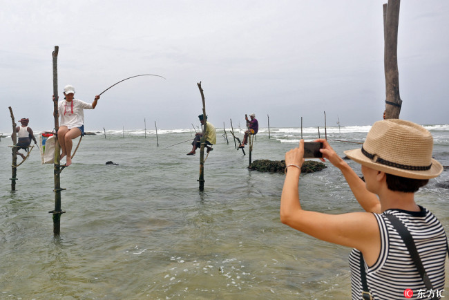 Chinese tourists experience Sri Lankan traditional fishing method locally known as a stilt fishing as they sit perched on a stilt fixed into the ocean floor in Koggala, about 140 kilometers (91 miles) south of Colombo, Sri Lanka, 29 July 2017. Stilt fishing is a method of fishing unique to the island country of Sri Lanka. [Photo: IC] 