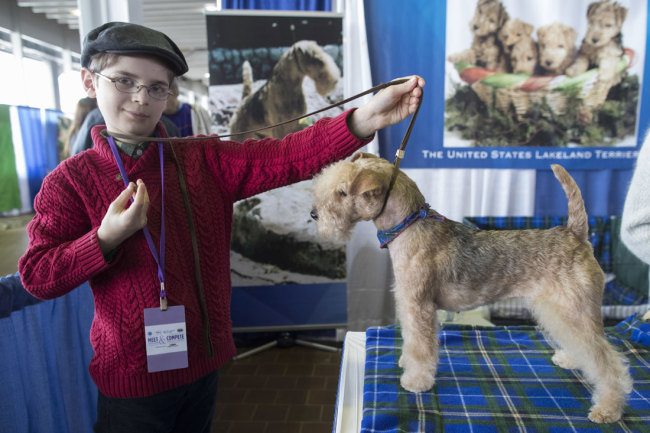 In this Saturday, Feb. 10, 2018, photo, Fenric Towell poses for a photo with his lakeland terrier Missy during the meet the breeds companion event to the Westminster Kennel Club Dog Show in New York. [Photo: AP/Mary Altaffer]