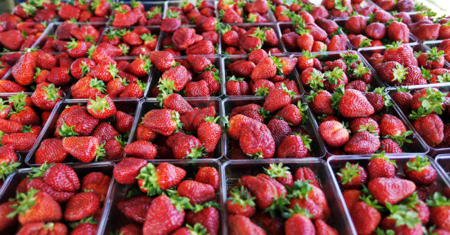 Fresh-picked strawberries fill a table. [File Photo: AP]
