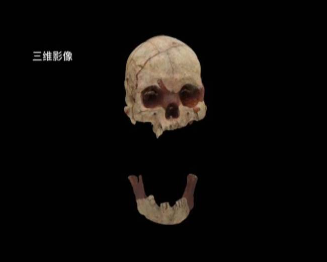 3D image of the human skull dating back about 16,000 years. [Photo: Nanning Television]