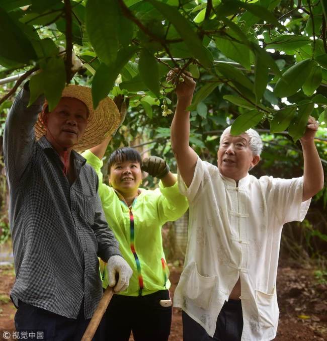 Agricultural expert Deng Deming (R) shows farmers how to care for an apple tree in Qionghai, Hainan Province, on March 12, 2018. [File photo: VCG]
