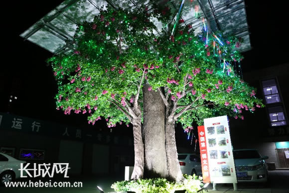A photovoltaic tree in Xiong'an New Area. [Photo: hebei.com.cn]