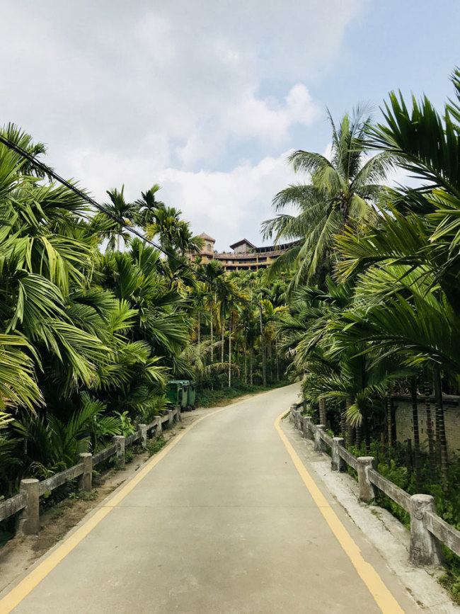 A photo shows the winding roads which connect the cottages, forests and fields in Beireng village, Jiaji town, Qionghai city, Hainan Province. [Photo: ChinaPlus/Ge Anna]
