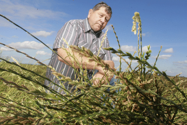 Oregon grass seed growers keep close watch on U.S.-China trade friction