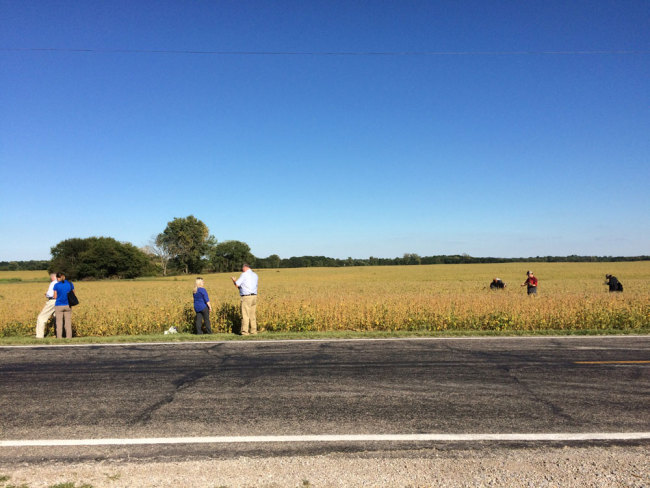 US soybean crop field [File photo: USSEC] 
