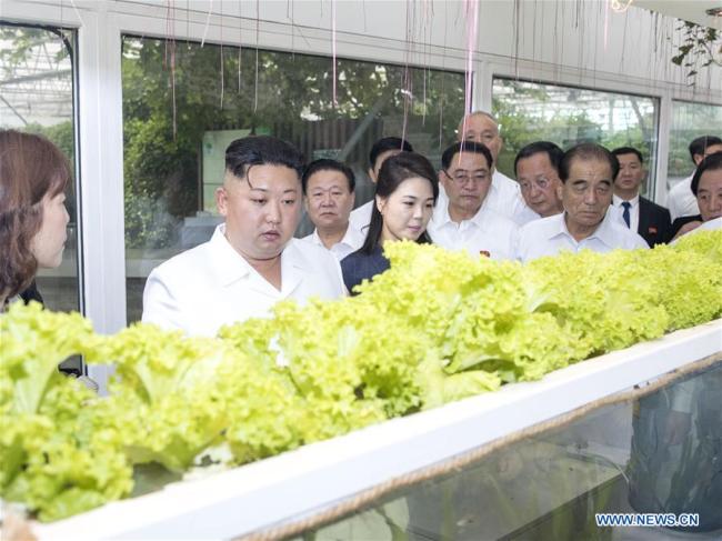 Kim Jong Un, chairman of the Workers' Party of Korea (WPK) and chairman of the State Affairs Commission of the Democratic People's Republic of Korea (DPRK), visits a national agricultural technology innovation park under the Chinese Academy of Agricultural Sciences in Beijing, capital of China, June 20, 2018. Xi Jinping, general secretary of the Central Committee of the Communist Party of China (CPC) and Chinese president, met with Kim Jong Un at the Diaoyutai State Guesthouse in Beijing on Wednesday. [Photo: Xinhua]
