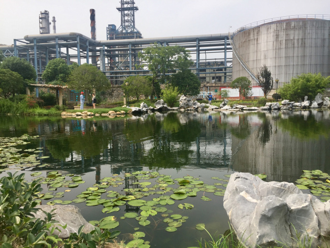 The photo taken on Aug 5th shows the water pond within the Sinopec Jiujiang industrial park used for observing treated waste water, with some fish and aquatic plants raised and grown inside. [Photo: China Plus/Yang Guang]