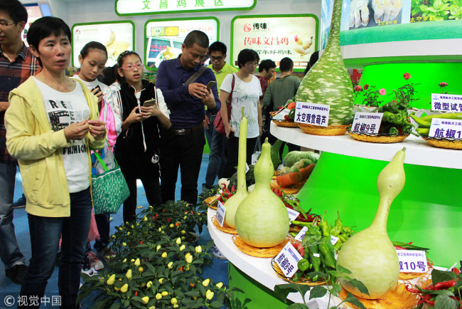 People visit space vegetables in Wenchang, Hainan Province, on December 12 2015. [Photo; VCG]