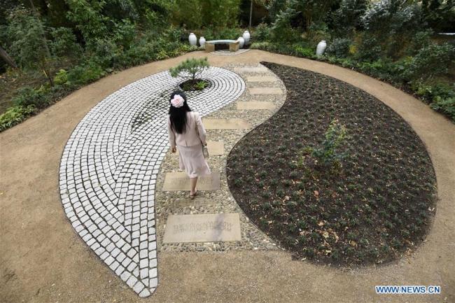 A woman walks across the Xu Zhimo memorial garden at King's College Cambridge in England, August 10. [Photo: Xinhua/Stephen Chung]
