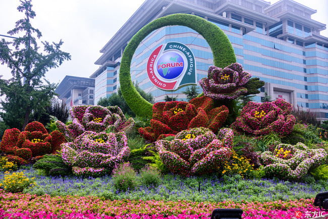 Floral sculptures are installed to mark the upcoming Forum on China-Africa Cooperation summit in Beijing, as seen here on Tuesday, August 28, 2018. The summit is scheduled to open on September 3. China's President Xi Jinping will chair the event. [Photo: IC]