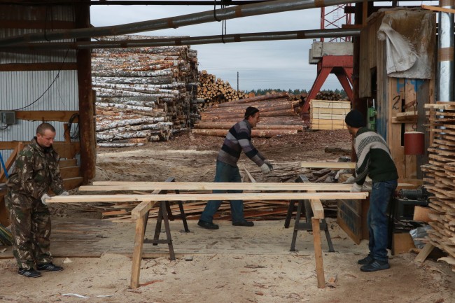 Workers are processing timber in the forestry cooperative zone. [Photo: China Plus]