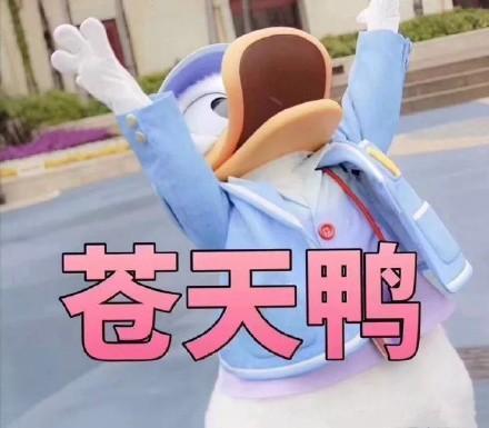 "Good heavens(苍天呀)", a duck-themed meme, has become popular on Chinese social media in China. [File photo]
