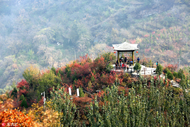 Photo taken on October 21, 2018 shows the planted forests on the Pofeng Ridge in Beijing's Fangshan District. The Pofeng Ridge, which was famous for the exploitation of limestone for the production of cement, has been turned into a tourism resort following reforestation. [Photo: IC]
