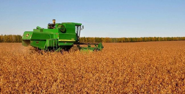 Farmers in U.S.are getting hit on both ends by the trade frictions. The prices of crops are dropping while farmers are paying more for equipment due to the tariff on steel and aluminum.  [Photo: Xinhua]