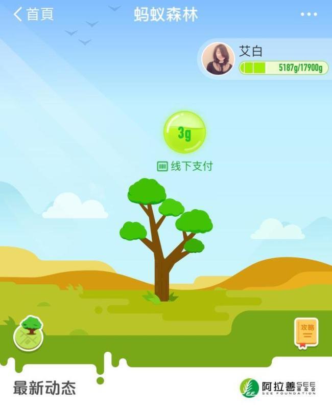 The virtual tree planted by a user of Apliay in his/her “Ant Forest” account. [Photo: courtesy of Ant Financial Services Group]