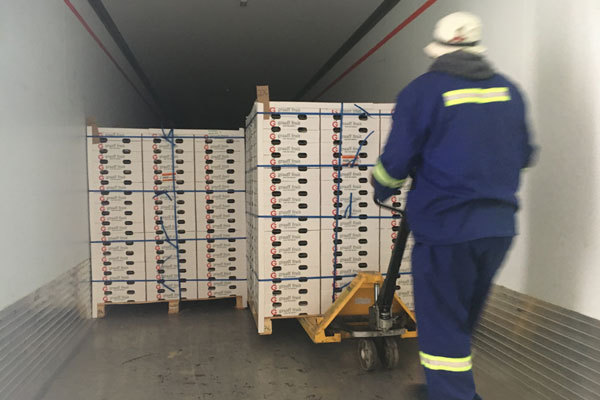A work with boxes of Zimbabwean agricultural products set to be exported to South Africa. [Photo: China Plus]