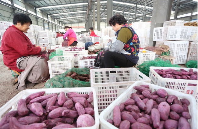 People work in a food factory in Zaozhuang, Shandong province, October 28, 2018. [Photo: IC]