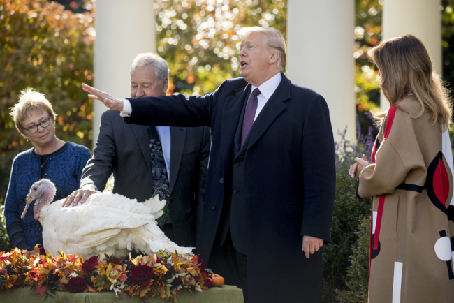 President Donald Trump, accompanied by first lady Melania Trump, right, pardons "Peas" one the National Thanksgiving Turkeys, in the Rose Garden of the White House in Washington, Tuesday, Nov. 20, 2018. [Photo: AP/Andrew Harnik]