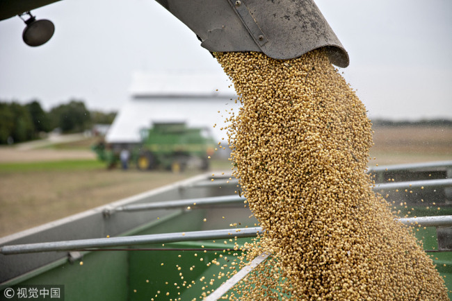 Soybeans are loaded into a grain cart during harvest in Wyanet, Illinois, U.S., on Tuesday, Sept. 18, 2018. [File photo: VCG]