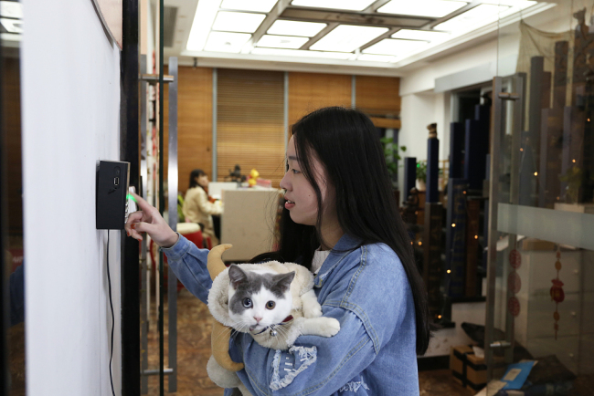 . The pet-friendly company in Shanghai allow(允许 yǔnxǔ) employees to bring their pets to work. [Photo: VCG]