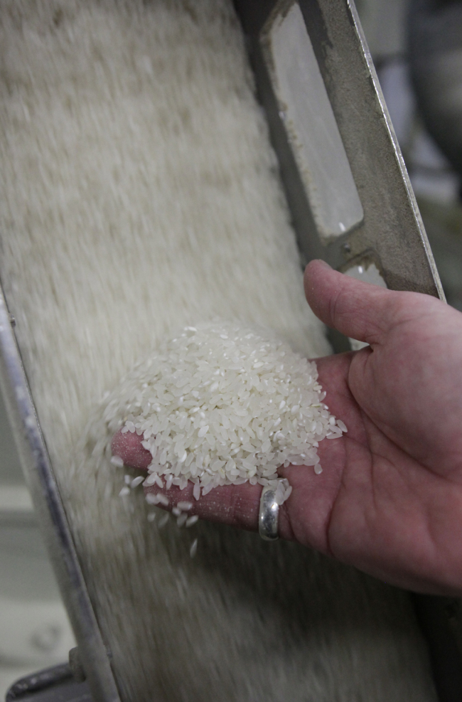In this photo taken Wednesday, Nov. 21, 2012, Tom Ploetz, manager of the Farmer's Rice Cooperative mill, inspects rice being milled in West Sacramento, Calif. [File photo: AP/Rich Pedroncelli]