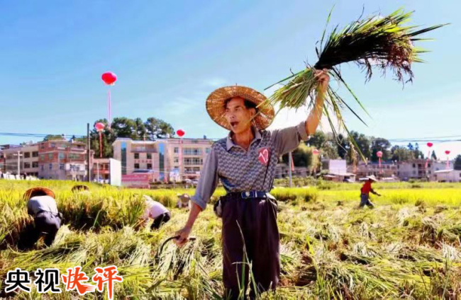The undated picture shows a farmer harvests crops on farm. [Photo: cctv.com]