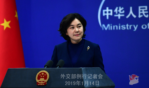 Foreign Ministry spokesperson Hua Chunying speaks at a daily press conference on January 14, 2019. [Photo: fmprc.gov.cn]