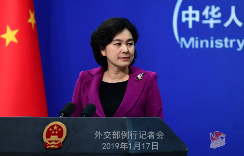 Foreign Ministry spokesperson Hua Chunying holds a press conference on Jan. 17, 2019. [Photo: fmprc.gov.cn]