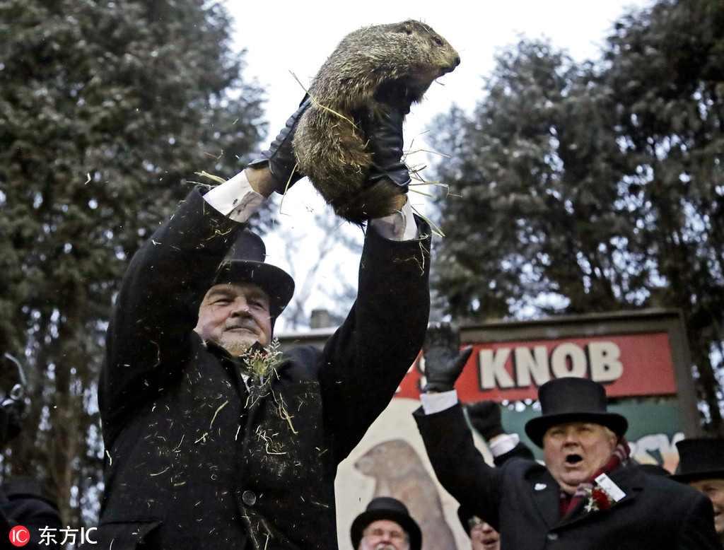 Groundhog doesn't see his shadow, predicting early spring - China Plus