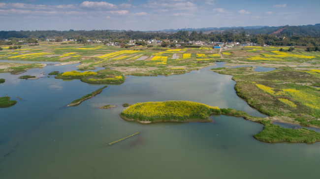 Aerial view of Minjiang River, Qingshen County, Sichuan Province. [Photo: IC]