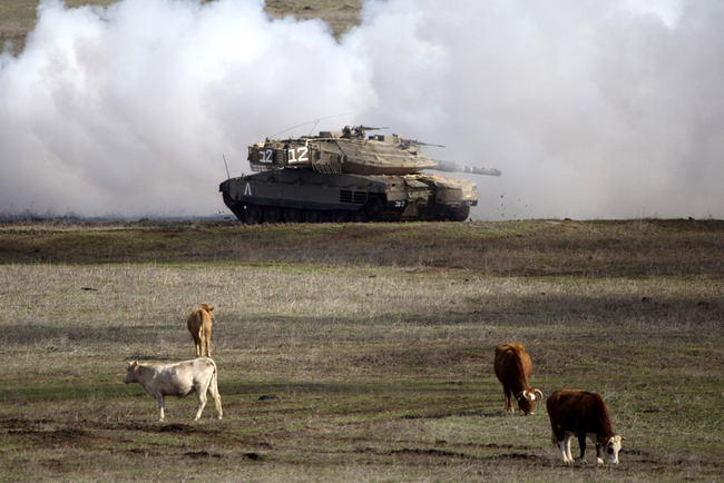 An Israeli Merkava Mark 4 tank drives close to livestock during an exercise in the Golan Heights, near the border with Syria, Jan. 11, 2016. [File photo: AP/Ariel Schalit]