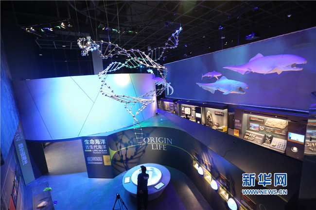 Photo taken on April 2nd, 2019, shows an interior view of China's first national maritime museum. [Photo: Xinhua] 