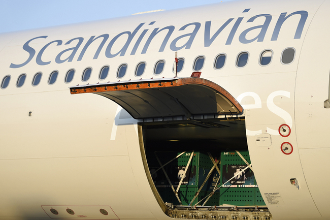 The enclosures containing two Giant pandas Xing Er and Mao Sun in the cargo hold of the plane that delivered them to Copenhagen Airport in Denmark on Thursday, April 4, 2019. [Photo: IC]