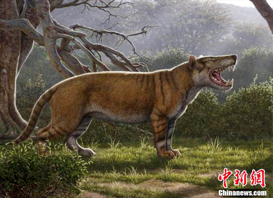 An effect drawing of the ancient giant lion [File photo: Chinanews.com]