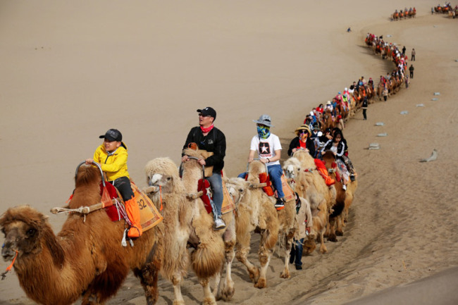 Tourists enjoy riding camels in Dunhuang, Gansu Province on May 2, the second day of the 4-day May Day holiday. [Photo: Xinhua]