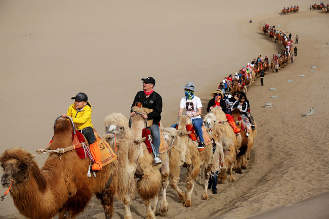 Tourists enjoy riding camels in Dunhuang, Gansu Province on May 2, the second day of the 4-day May Day holiday. [Photo: Xinhua]