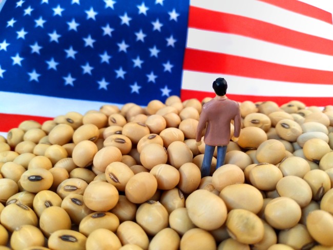 American soybean growers are believed to be one of the biggest victims of the trade war started by Washington. [Photo: IC]