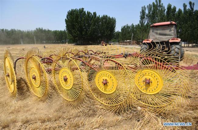 Farmers collect wheat straw with agricultural machinery in the field of Lijiakou Village in Yongqing County, north China's Hebei Province, June 17, 2019.[Photo: Xinhua]