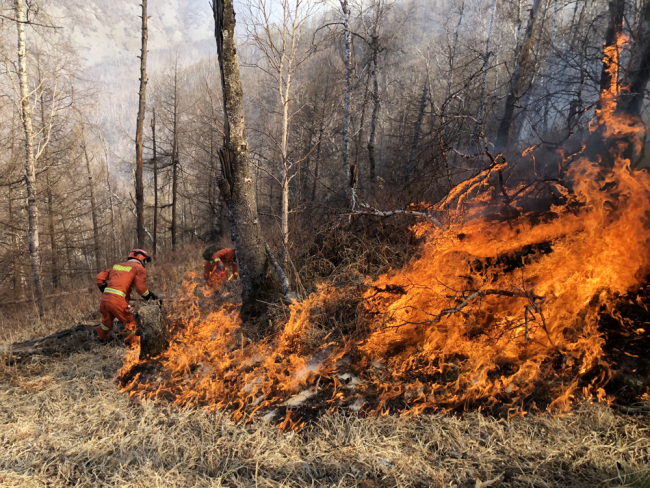 Firefighters struggle to contain a forest fire in north China's Inner Mongolia Autonomous Region. [File photo: IC]